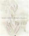 Picture of Transparent Tulip I _GroupedProduct_Rectangle_Portrait_Unframed_Print_Only_