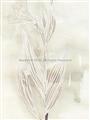 Picture of Transparent Tulip I _GroupedProduct_Rectangle_Portrait_Unframed_Print_Only_