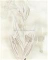 Picture of Transparent Tulip I _GroupedProduct_Rectangle_Portrait_Unframed_Print_Only_