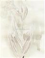 Picture of Transparent Tulip I _GroupedProduct_Rectangle_Portrait_Unframed_Print_Only_