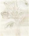 Picture of Transparent Tulip II _GroupedProduct_Rectangle_Portrait_Unframed_Print_Only_