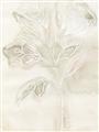 Picture of Transparent Tulip II _GroupedProduct_Rectangle_Portrait_Unframed_Print_Only_