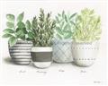 Picture of Pots With Flower _GroupedProduct_Rectangle_Landscape_Unframed_Print_Only_