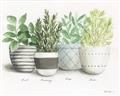 Picture of Pots With Flower _GroupedProduct_Rectangle_Landscape_Unframed_Print_Only_