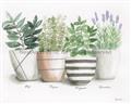 Picture of Pots With Flower I _GroupedProduct_Rectangle_Landscape_Unframed_Print_Only_