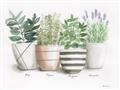 Picture of Pots With Flower I _GroupedProduct_Rectangle_Landscape_Unframed_Print_Only_