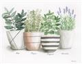 Picture of Pots With Flower I _GroupedProduct_Rectangle_Landscape_Unframed_Print_Only_
