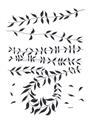 Picture of Silhouette Leaves III _GroupedProduct_Rectangle_Portrait_Unframed_Print_Only_