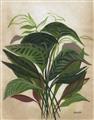 Picture of Tropical Greens _GroupedProduct_Rectangle_Portrait_Unframed_Print_Only_