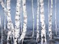 Picture of Plain White Birches _GroupedProduct_Rectangle_Landscape_Unframed_Print_Only_
