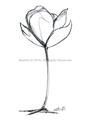 Picture of Single Flower I _GroupedProduct_Rectangle_Portrait_Unframed_Print_Only_