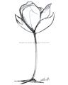 Picture of Single Flower I _GroupedProduct_Rectangle_Portrait_Unframed_Print_Only_