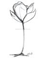 Picture of Single Flower I _GroupedProduct_Rectangle_Portrait_Unframed_Print_Only_