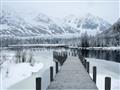 Picture of Winter Dock _GroupedProduct_Rectangle_Landscape_Photography _GroupedProduct_Rectangle_Landscape_Unframed_Print_Only_