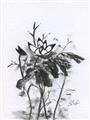 Picture of Black Daisy I _GroupedProduct_Rectangle_Portrait_Unframed_Print_Only_