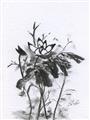 Picture of Black Daisy I _GroupedProduct_Rectangle_Portrait_Unframed_Print_Only_