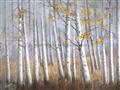 Picture of Birch Tree (yellow leaf) _GroupedProduct_Rectangle_Landscape_Unframed_Print_Only_