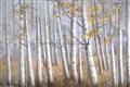 Picture of Birch Tree (yellow leaf) _GroupedProduct_Rectangle_Landscape_Unframed_Print_Only_