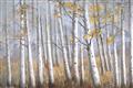 Picture of Birch Tree (yellow leaf) _GroupedProduct_Rectangle_Landscape_Unframed_Print_Only_