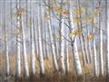 Picture of Birch Tree (yellow leaf) _GroupedProduct_Rectangle_Landscape_Unframed_Print_Only_