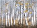 Picture of Birch Tree (yellow leaf) _GroupedProduct_Rectangle_Landscape_Unframed_Print_Only_