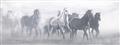 Picture of Running Horse I  _GroupedProduct_Panel_Landscape_Unframed_Print_Only_