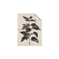 Picture of Black Linen Leaves II _GroupedProduct_Rectangle_Portrait_Unframed_Print_Only_