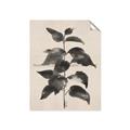 Picture of Black Linen Leaves II _GroupedProduct_Rectangle_Portrait_Unframed_Print_Only_