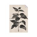 Picture of Black Linen Leaves II _GroupedProduct_Rectangle_Portrait_Unframed_Print_Only_