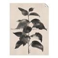 Picture of Black Linen Leaves II _GroupedProduct_Rectangle_Portrait_Unframed_Print_Only_