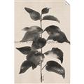 Picture of Black Linen Leaves II _GroupedProduct_Rectangle_Portrait_Unframed_Print_Only_