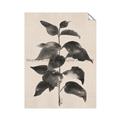 Picture of Black Linen Leaves II _GroupedProduct_Rectangle_Portrait_Unframed_Print_Only_