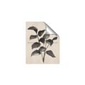 Picture of Black Linen Leaves IV _GroupedProduct_Rectangle_Portrait_Unframed_Print_Only_