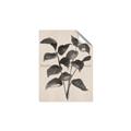 Picture of Black Linen Leaves IV _GroupedProduct_Rectangle_Portrait_Unframed_Print_Only_