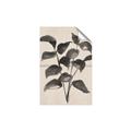 Picture of Black Linen Leaves IV _GroupedProduct_Rectangle_Portrait_Unframed_Print_Only_