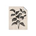 Picture of Black Linen Leaves IV _GroupedProduct_Rectangle_Portrait_Unframed_Print_Only_