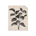 Picture of Black Linen Leaves IV _GroupedProduct_Rectangle_Portrait_Unframed_Print_Only_