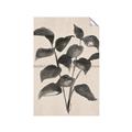 Picture of Black Linen Leaves IV _GroupedProduct_Rectangle_Portrait_Unframed_Print_Only_