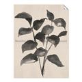 Picture of Black Linen Leaves IV _GroupedProduct_Rectangle_Portrait_Unframed_Print_Only_