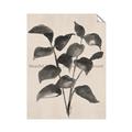 Picture of Black Linen Leaves IV _GroupedProduct_Rectangle_Portrait_Unframed_Print_Only_