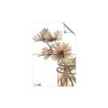 Picture of Linen Daisies _GroupedProduct_Rectangle_Portrait_Unframed_Print_Only_