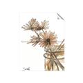 Picture of Linen Daisies _GroupedProduct_Rectangle_Portrait_Unframed_Print_Only_