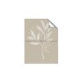 Picture of Neutral Plant VIII _GroupedProduct_Rectangle_Portrait_Unframed_Print_Only_