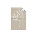 Picture of Neutral Plant VIII _GroupedProduct_Rectangle_Portrait_Unframed_Print_Only_