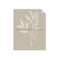 Picture of Neutral Plant VIII _GroupedProduct_Rectangle_Portrait_Unframed_Print_Only_