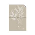 Picture of Neutral Plant VIII _GroupedProduct_Rectangle_Portrait_Unframed_Print_Only_