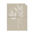 Picture of Neutral Plant VIII _GroupedProduct_Rectangle_Portrait_Unframed_Print_Only_