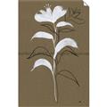 Picture of Neutral Plant  IV _GroupedProduct_Rectangle_Portrait_Unframed_Print_Only_