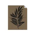 Picture of Silhouette Leaves _GroupedProduct_Rectangle_Portrait_Unframed_Print_Only_