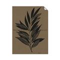 Picture of Silhouette Leaves _GroupedProduct_Rectangle_Portrait_Unframed_Print_Only_